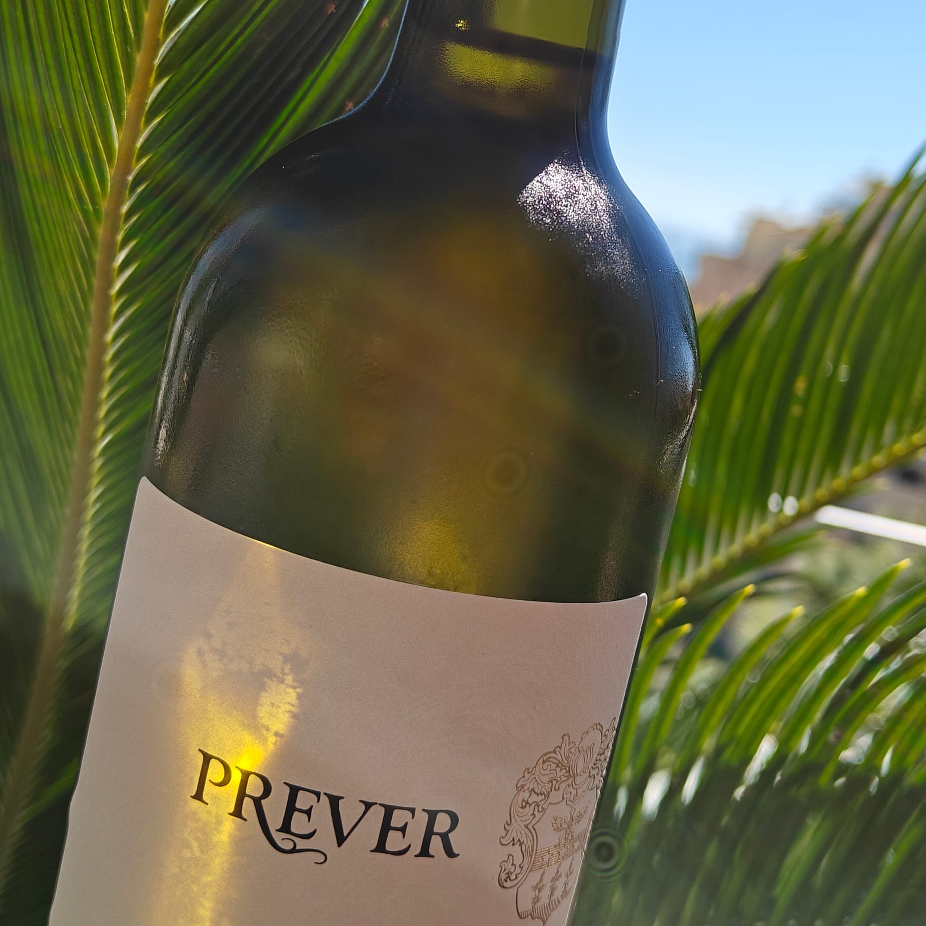 Alla scoperta dei vini Prever e della sua azienda