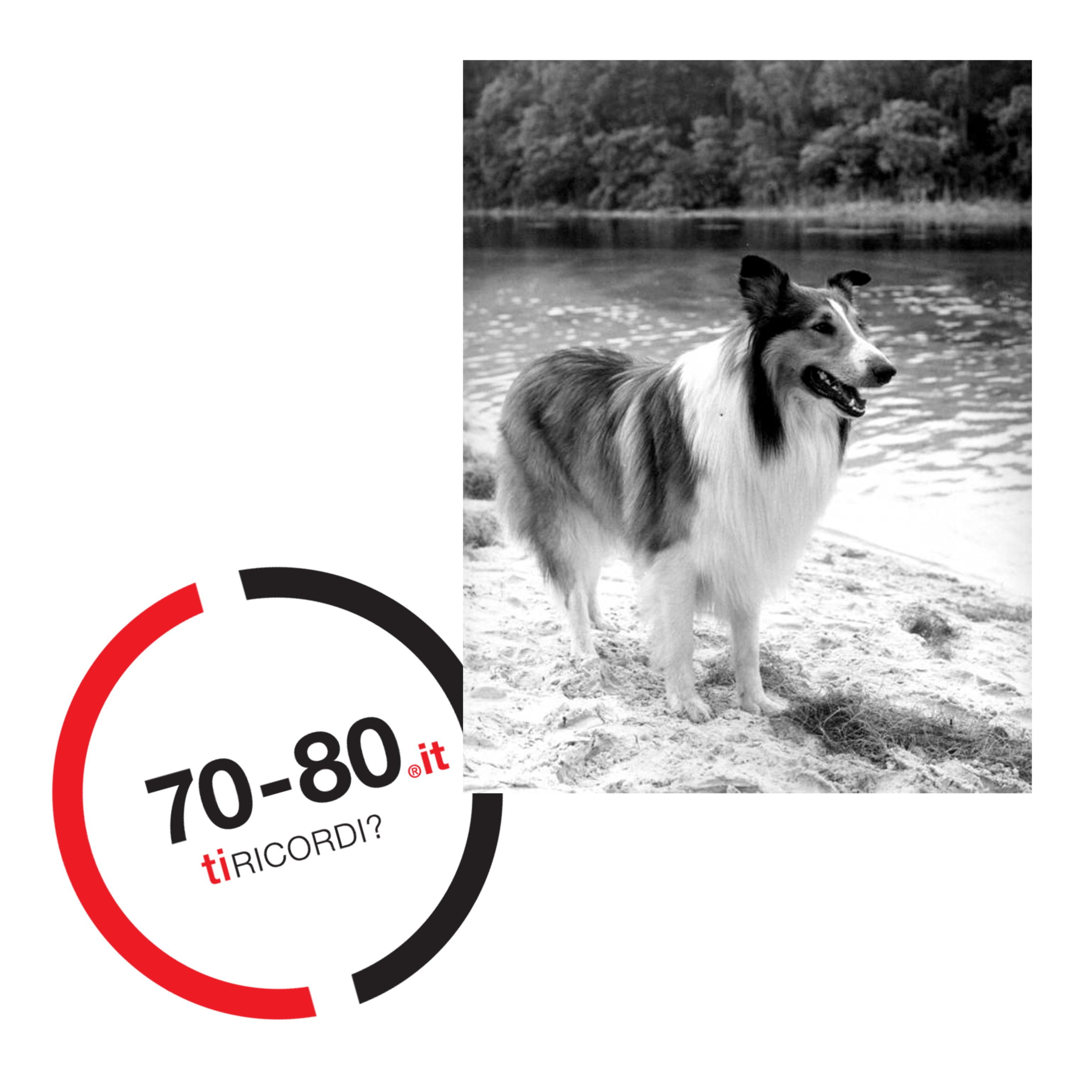 SETTANTAxOTTANTA: 1973. Termina Lassie la sesta serie tv americana più longeva