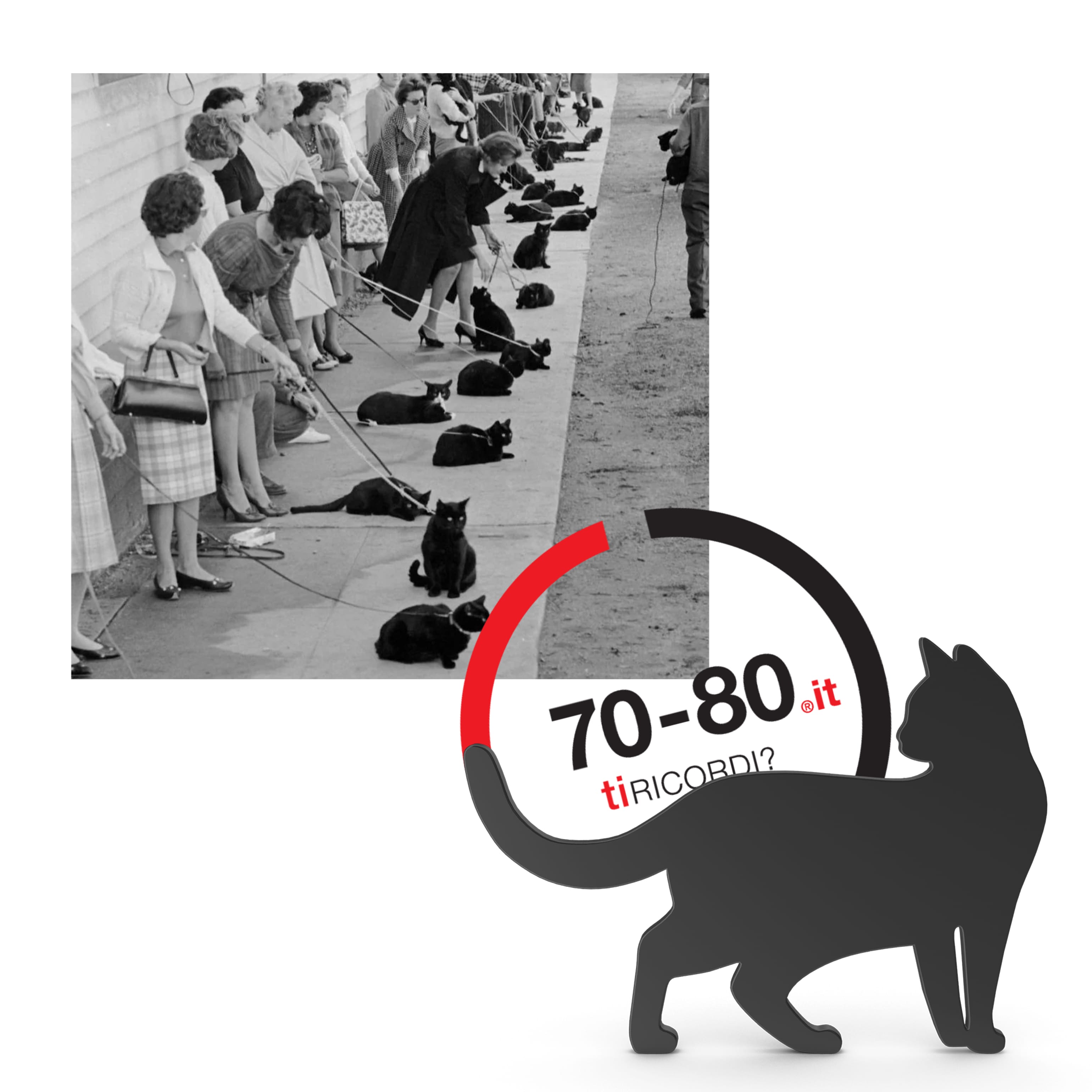 SETTANTAxOTTANTA: 1961. Chi ha paura del gatto nero. A Hollywood per l’audizione in un film horror si presentano in 152